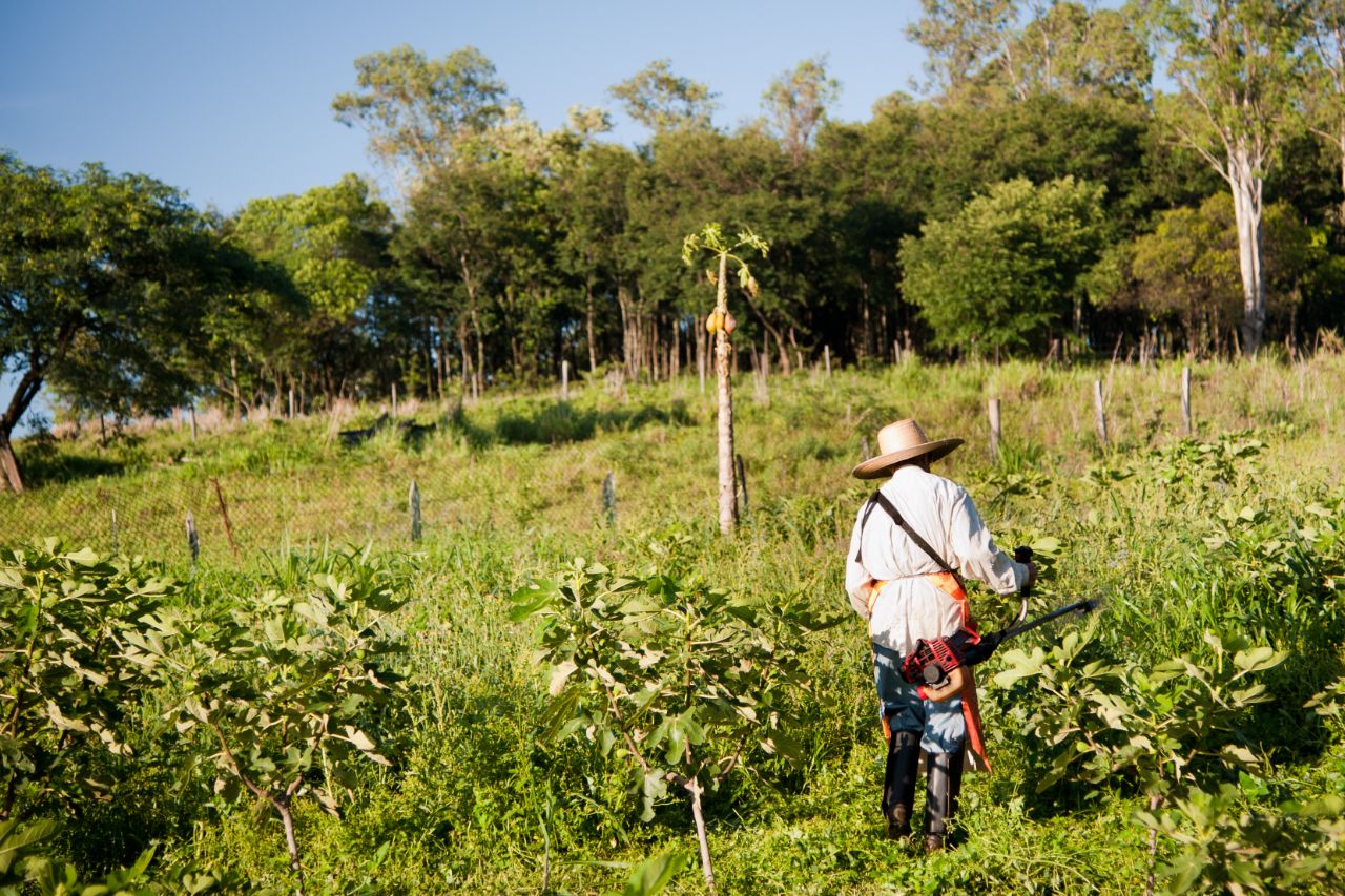 Pensão por morte rural: como funciona esse benefício e como solicitar?